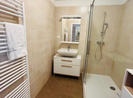 Pronájem bytu, 1+kk, 50 m²