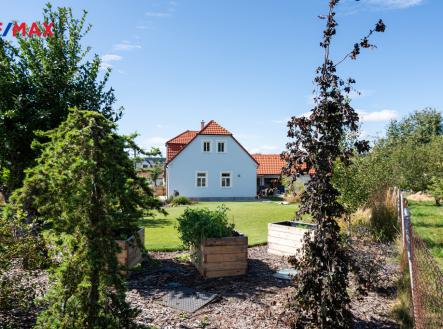 Pronájem domu/vily, 310 m²