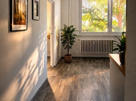 Pronájem bytu, 2+kk, 35 m²