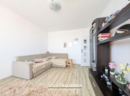 Pronájem: Byt 2+1 s lodžií a novou koupelnou