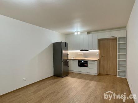 Pronájem bytu, 1+kk, 27 m²