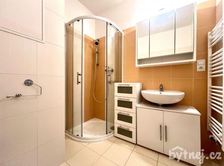 Pronájem bytu, 1+kk, 29 m²