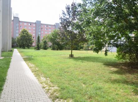 dsc-0594.jpg