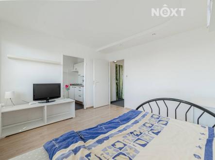 Prodej bytu, 1+1, 29 m²
