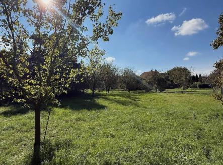 Prodej pozemku pro bydlení, 763 m²