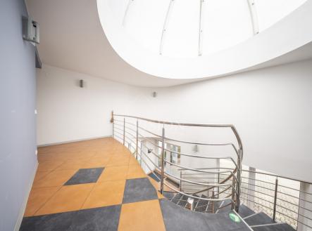 Pronájem kanceláře, 30 m²