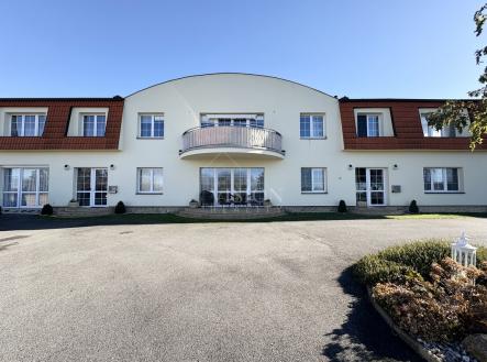 Pronájem bytu, 1+kk, 354 m²