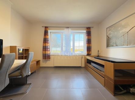 Pronájem bytu, 1+kk, 354 m²