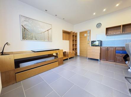 Pronájem bytu, 1+kk, 354 m²