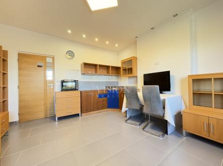 Pronájem bytu, 1+kk, 354 m²