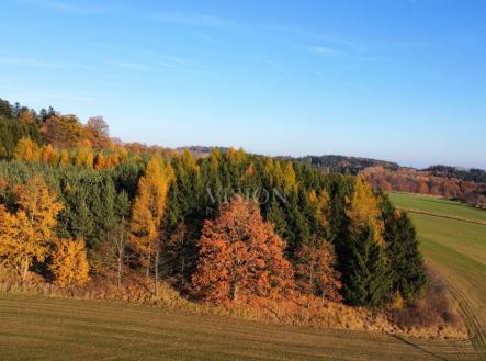 Prodej pozemku, les, 6 796 m²