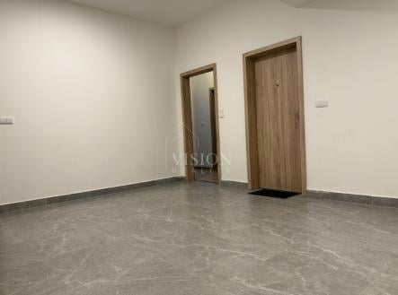 Pronájem bytu, 1+kk, 47 m²