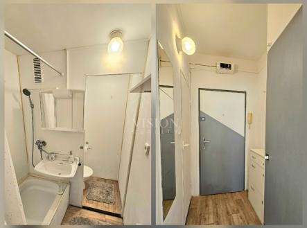 Pronájem bytu, 1+1, 42 m²