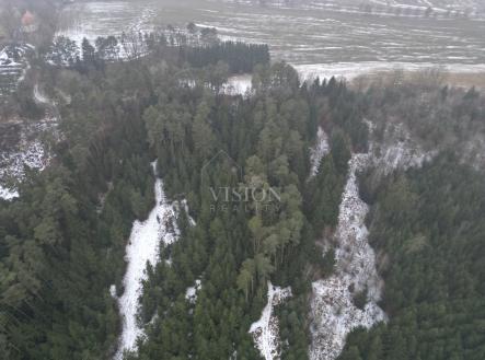 Prodej pozemku, les, 4 287 m²