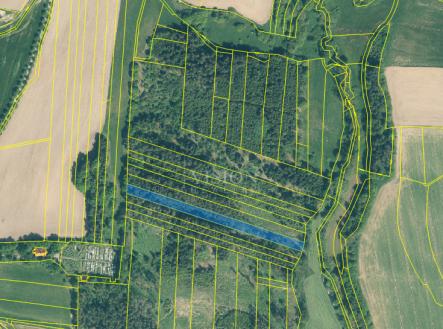 Prodej pozemku, les, 4 287 m²