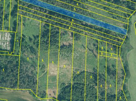 Prodej pozemku, les, 4 287 m²