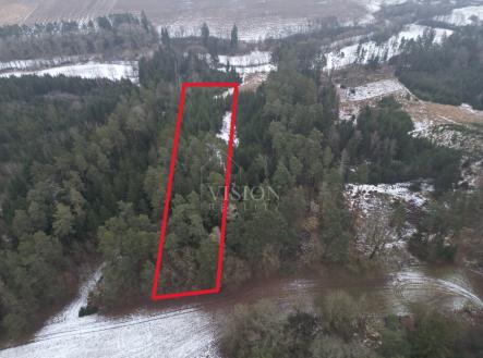 Prodej pozemku, les, 4 287 m²