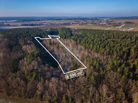 Prodej pozemku, les, 12 910 m²