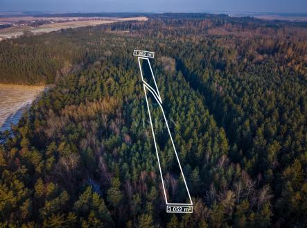 Prodej pozemku, les, 12 910 m²