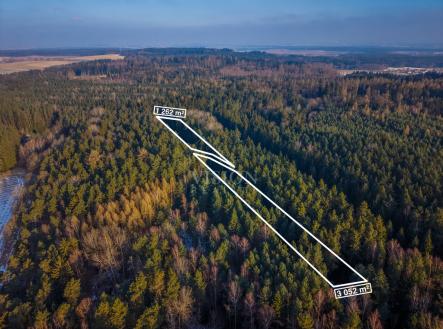 Prodej pozemku, les, 12 910 m²