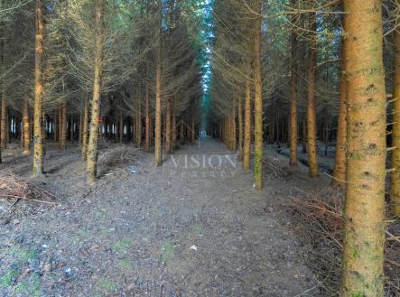 Prodej pozemku, les, 50 859 m²