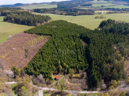 Prodej pozemku, les, 50 859 m²