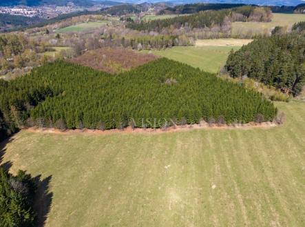 Prodej pozemku, les, 50 859 m²