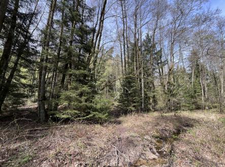 Prodej pozemku, les, 27 366 m²