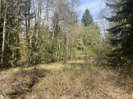 Prodej pozemku, les, 27 366 m²
