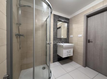 Pronájem bytu, 2+kk, 54 m²