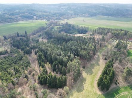 Prodej pozemku, les, 4 287 m²