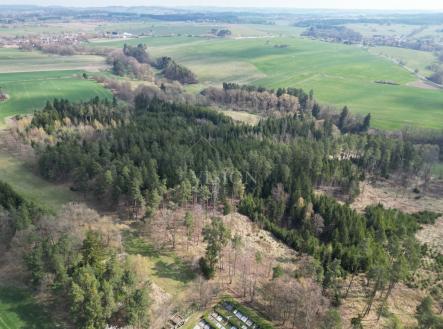 Prodej pozemku, les, 4 287 m²