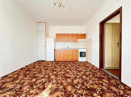Pronájem bytu, 1+1, 47 m²