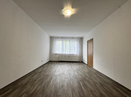 Pronájem bytu, 1+1, 43 m²