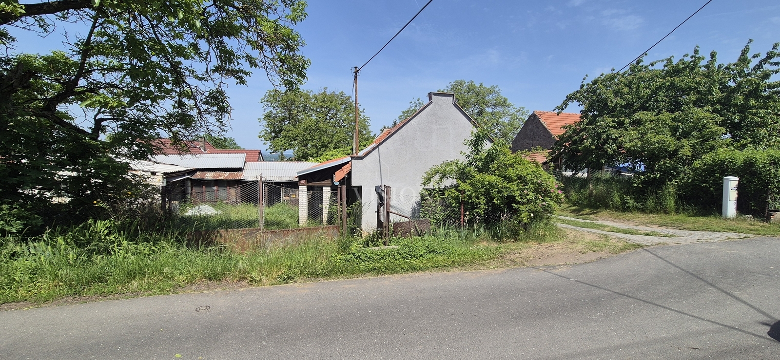 20260524-120312.jpg