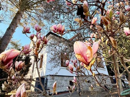 Prodej domu/vily, 450 m²