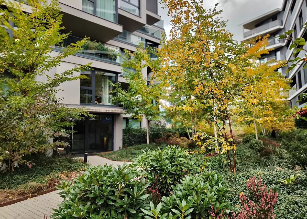 Fotku se nepodařilo načíst.