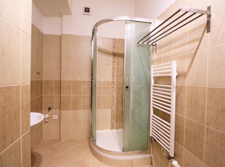 Pronájem bytu, 2+kk, 52 m²