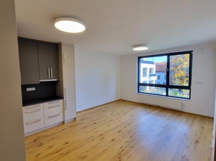 Pronájem bytu, 2+kk, 52 m²