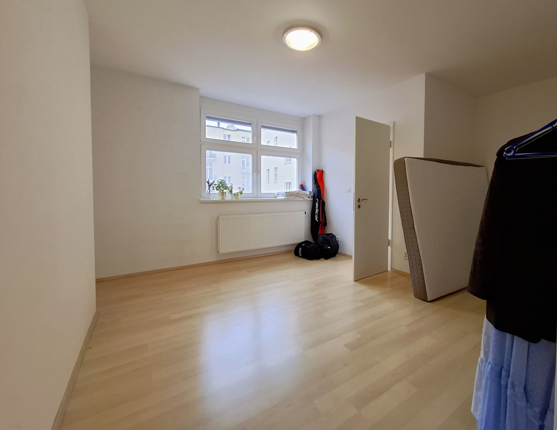 Fotku se nepodařilo načíst.