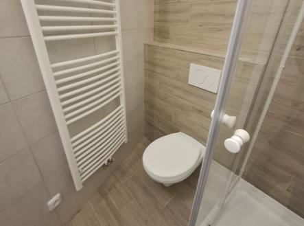 Pronájem bytu, 1+1, 47 m²