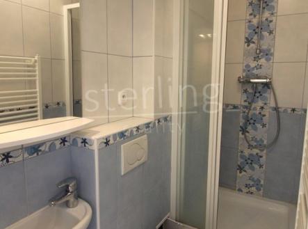 Pronájem bytu, 1+1, 25 m²