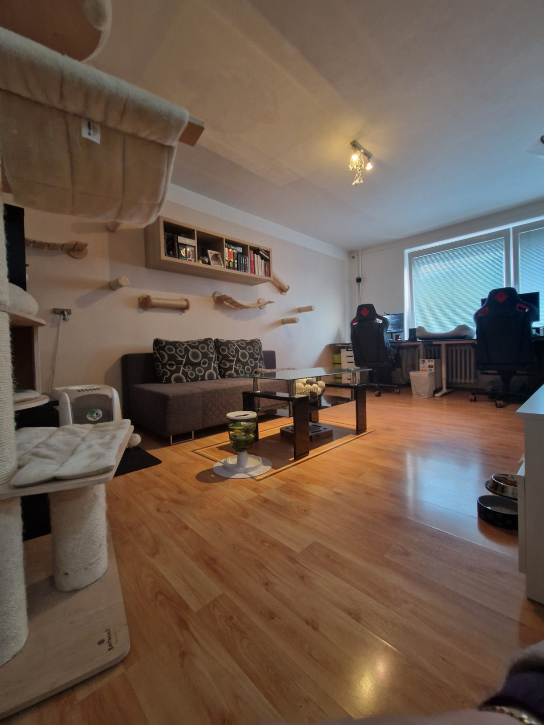 Pronájem bytu 2+1, 56 m² – Praha 8 Čimice, ul. Chvatěrubská