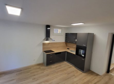 Pronájem byt 2+kk, 56 m2, Ústí n.L.-Klíše, ul. Bezručova, 1.NP, cihla, sklep