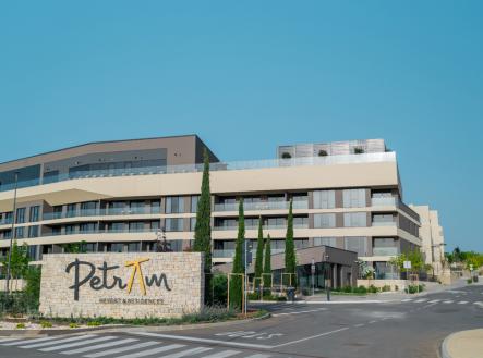 nou05203.jpg