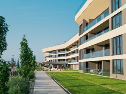 nou05220.jpg
