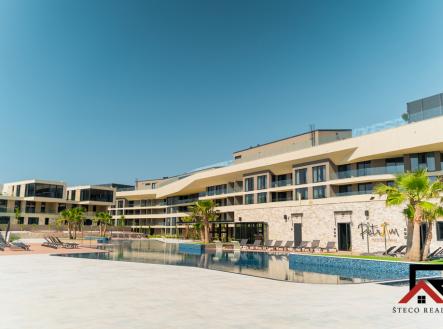 Orchid Casel de Paradise.