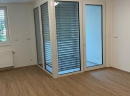 Pronájem bytu, 1+kk, 35 m²