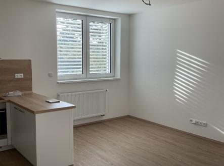 Pronájem bytu, 1+kk, 2 366 m²