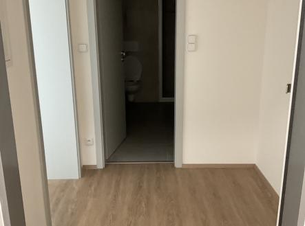 Pronájem bytu, 1+kk, 2 366 m²